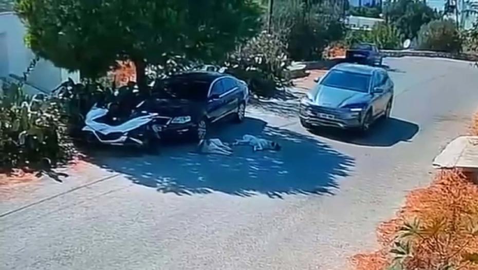 Muğla'da Otomobilin Köpeklerin Üzerinden Geçip Yoluna Devam Etmesi Tepkiyle Karşılandı