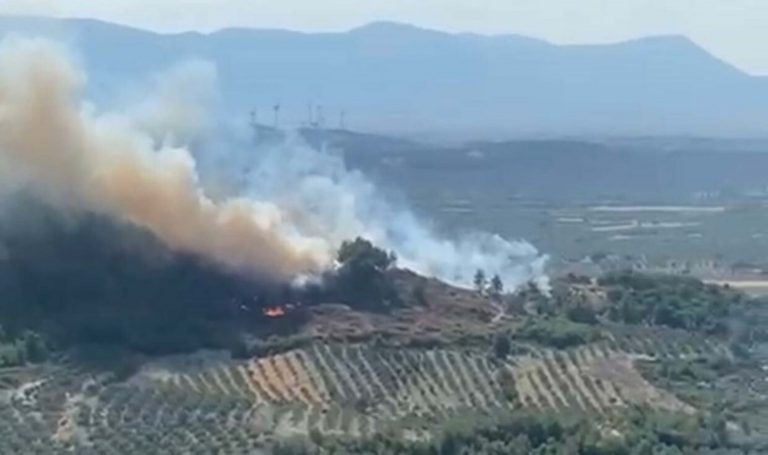 Manisa’da orman yangını!  – Türkiye’den son dakika haberleri