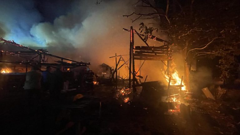 Bolu’da yangın: ev, ahır ve odunluk zarar gördü